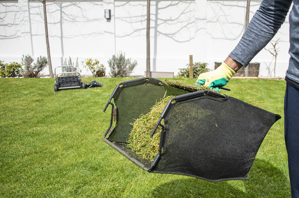 Pet Waste Cleanup & Yard Maintenance